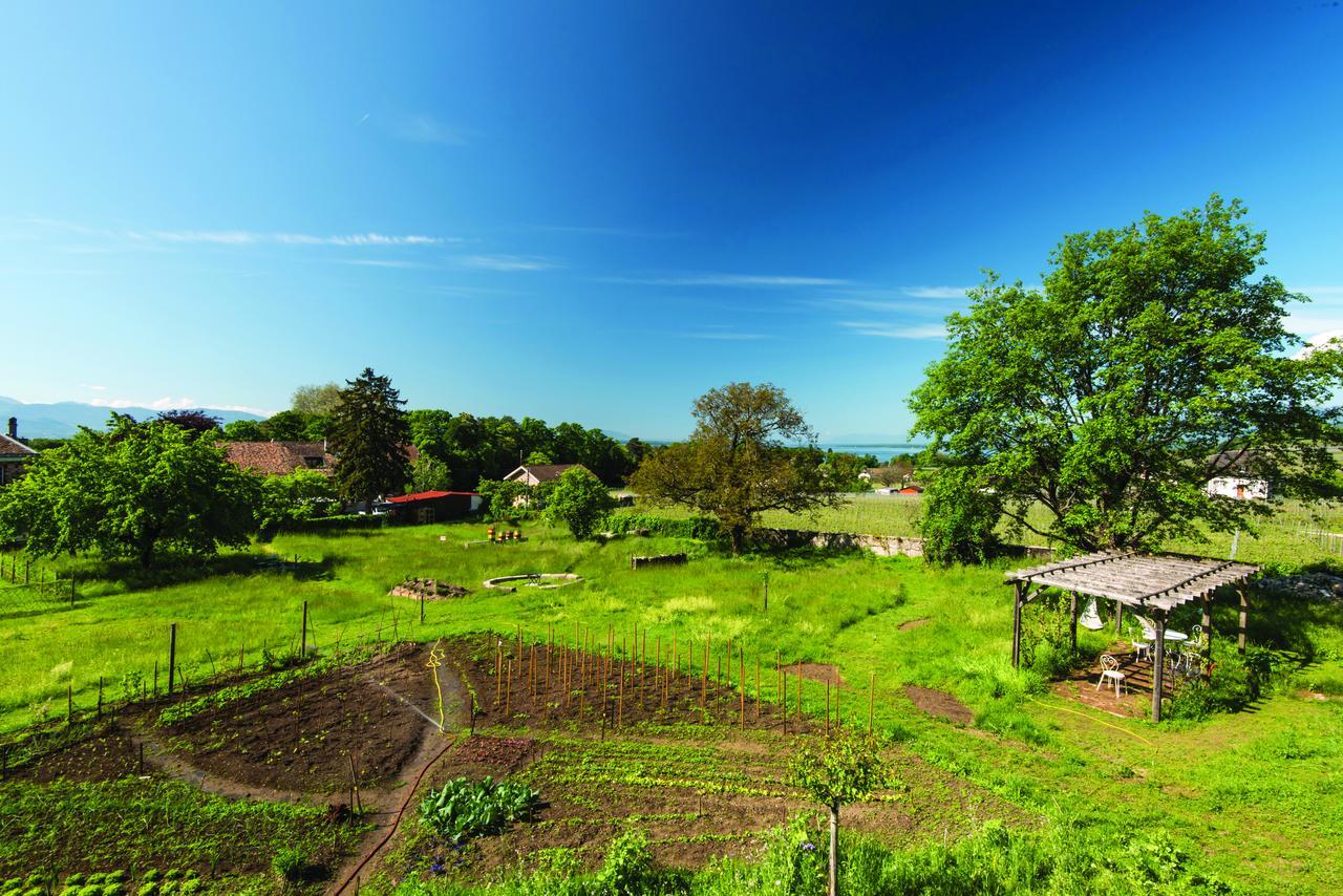 Chateau Rochefort Allaman Esterno foto